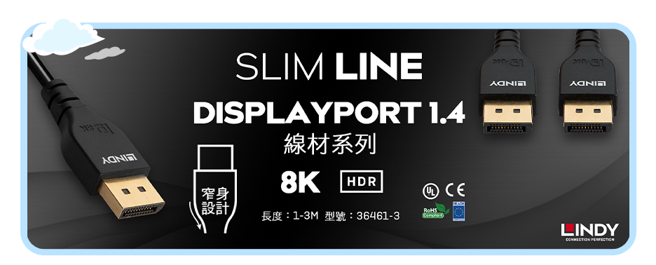 DisplayPort 傳輸線