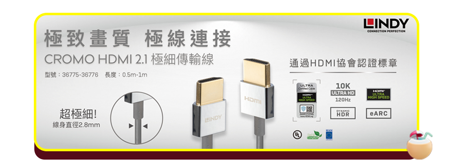 DisplayPort 傳輸線