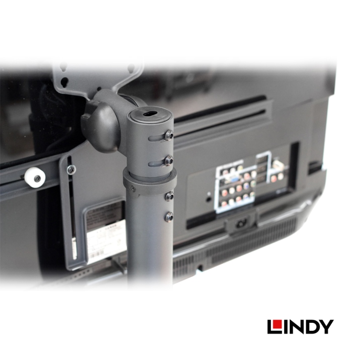 LINDY 林帝 可移動式 液晶電視固定架