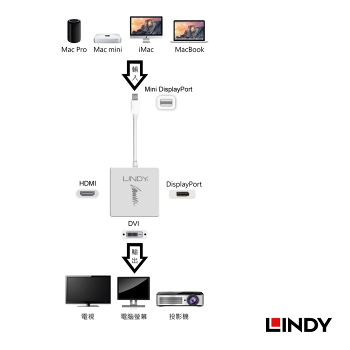 LINDY林帝 MINI DISPLAYPORT To HDMI/DVI-D/DP 三合一轉接器