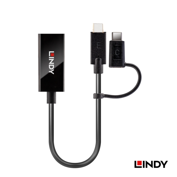 LINDY林帝 主動式 USB3.1 TYPE-C公 To DISPLAYPORT母 雙向轉接器