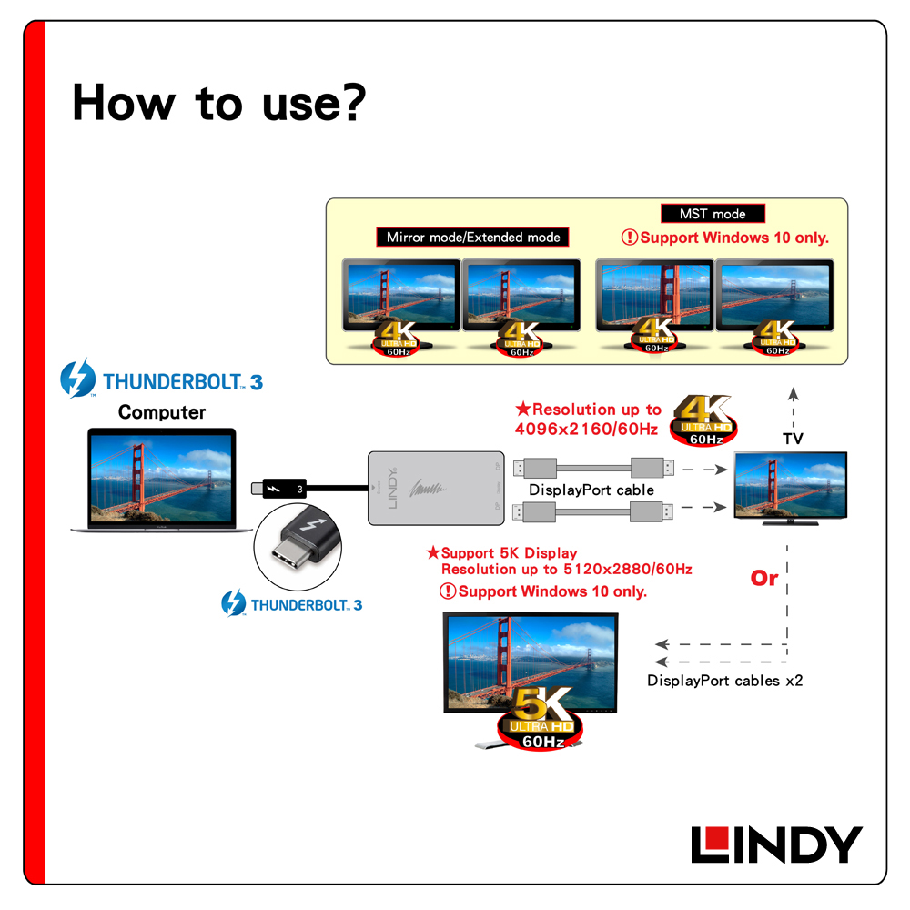 LINDY林帝 THUNDERBOLT3公 To 雙DISPLAYPORT母 螢幕輸出轉接器