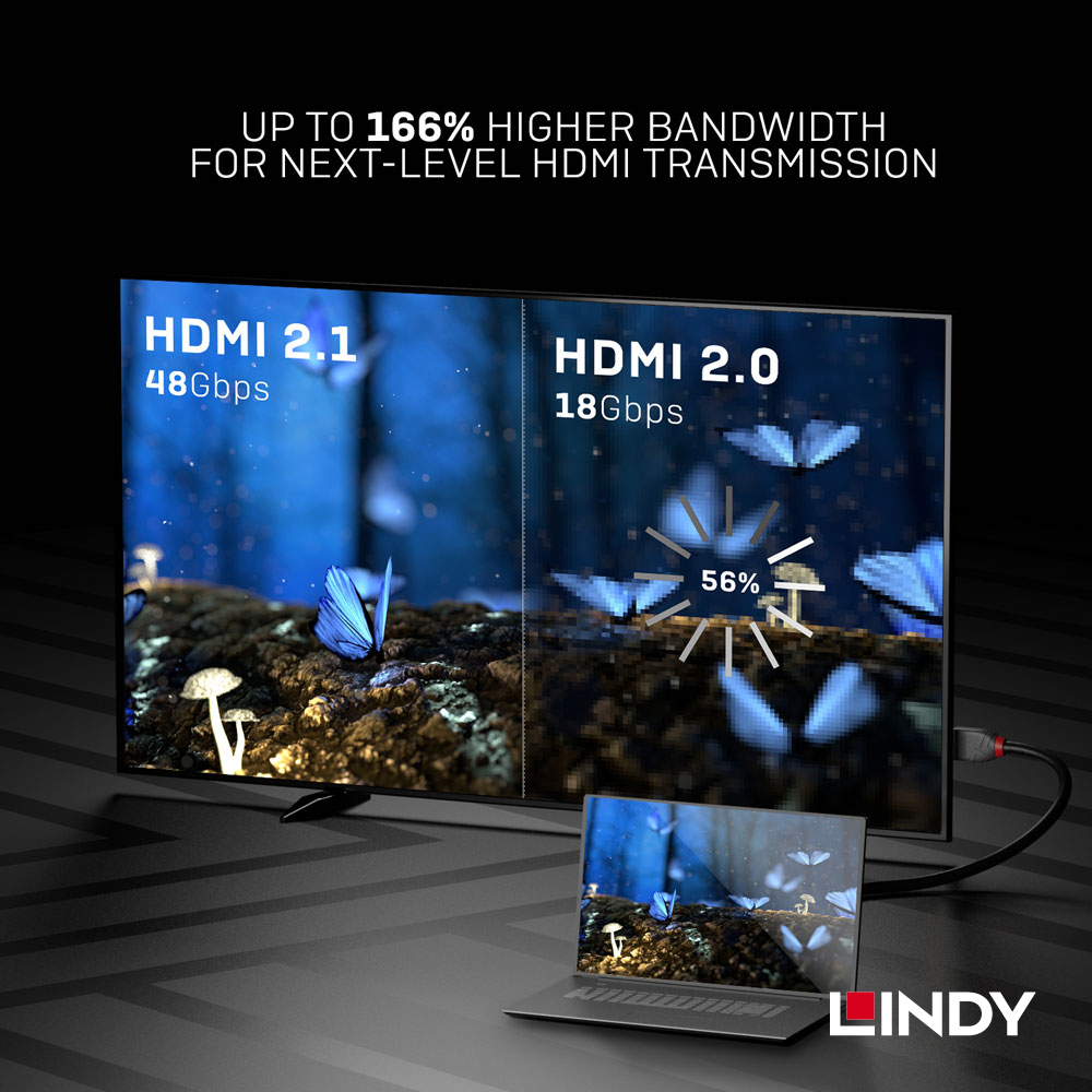 LINDY林帝 ANTHRA系列 HDMI 2.1(TYPE-A) 公 TO 公 傳輸線,1M