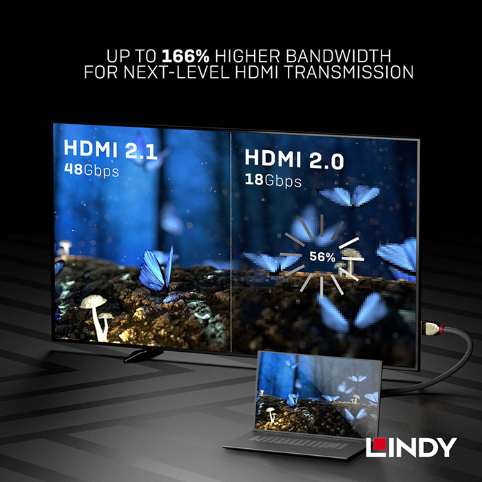LINDY林帝 GOLD LINE HDMI2.1 (TYPE-A) 公 TO 公 傳輸線 2M