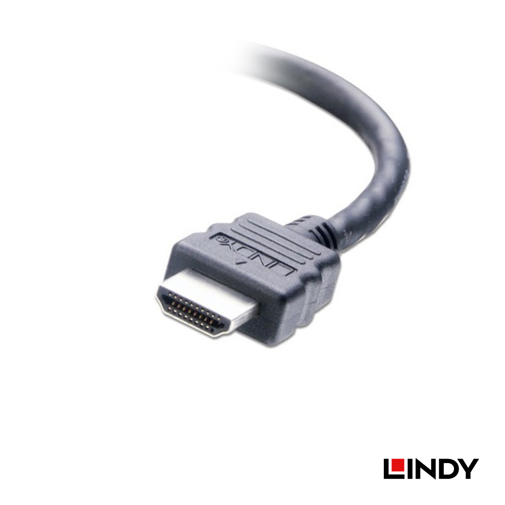 LINDY林帝 HDMI TO DVI 連接線, 0.2M