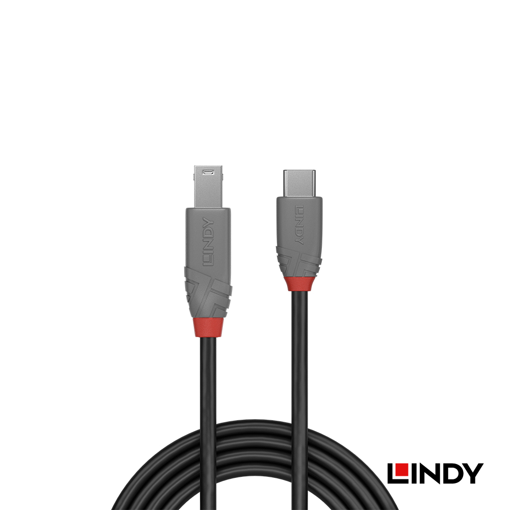 LINDY林帝 ANTHRA USB3.2 GEN1 TYPE-C公 TO B公 傳輸線 2M