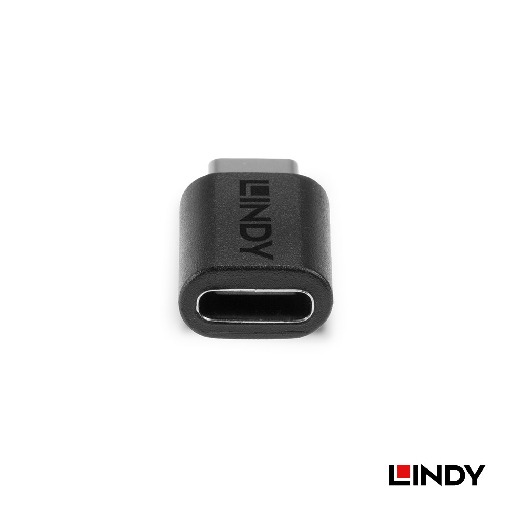 LINDY林帝 USB3.2 GEN2x2 TYPE-C 公對母轉接頭