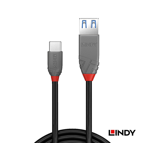 LINDY林帝 USB 3.2 GEN2 TYPE-C公 To A母 OTG傳輸線 0.15M