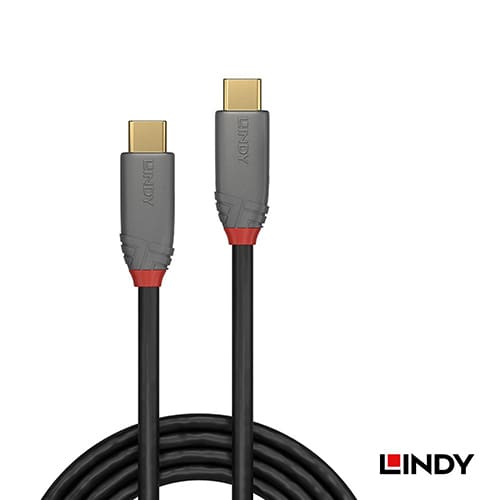 LINDY林帝 USB3.2 GEN2x2 TYPE-C 公TO公 傳輸線+PD智能電流晶片0.5M