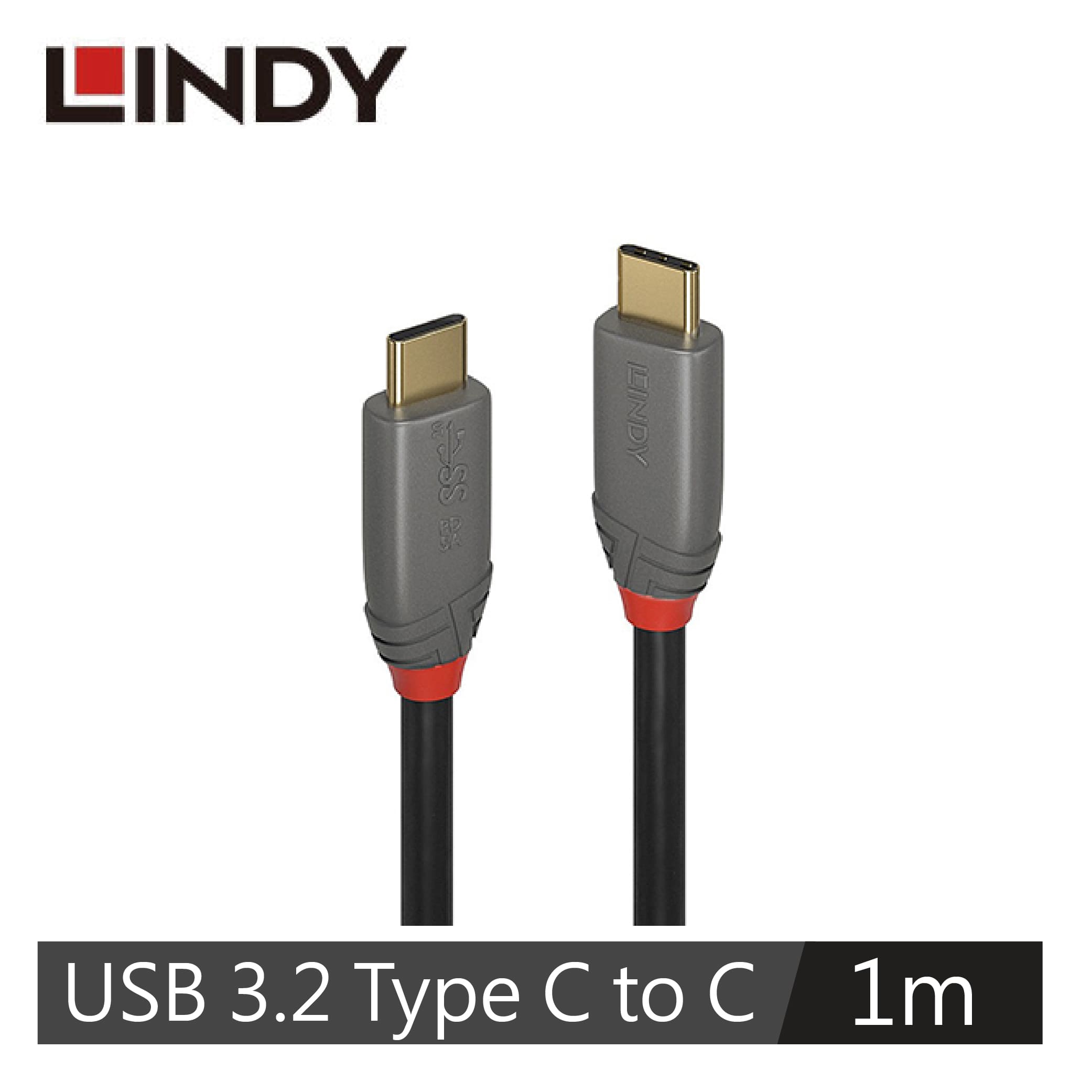 LINDY林帝 USB3.2 GEN2x2 TYPE-C 公TO公 傳輸線+PD智能電流晶片1M