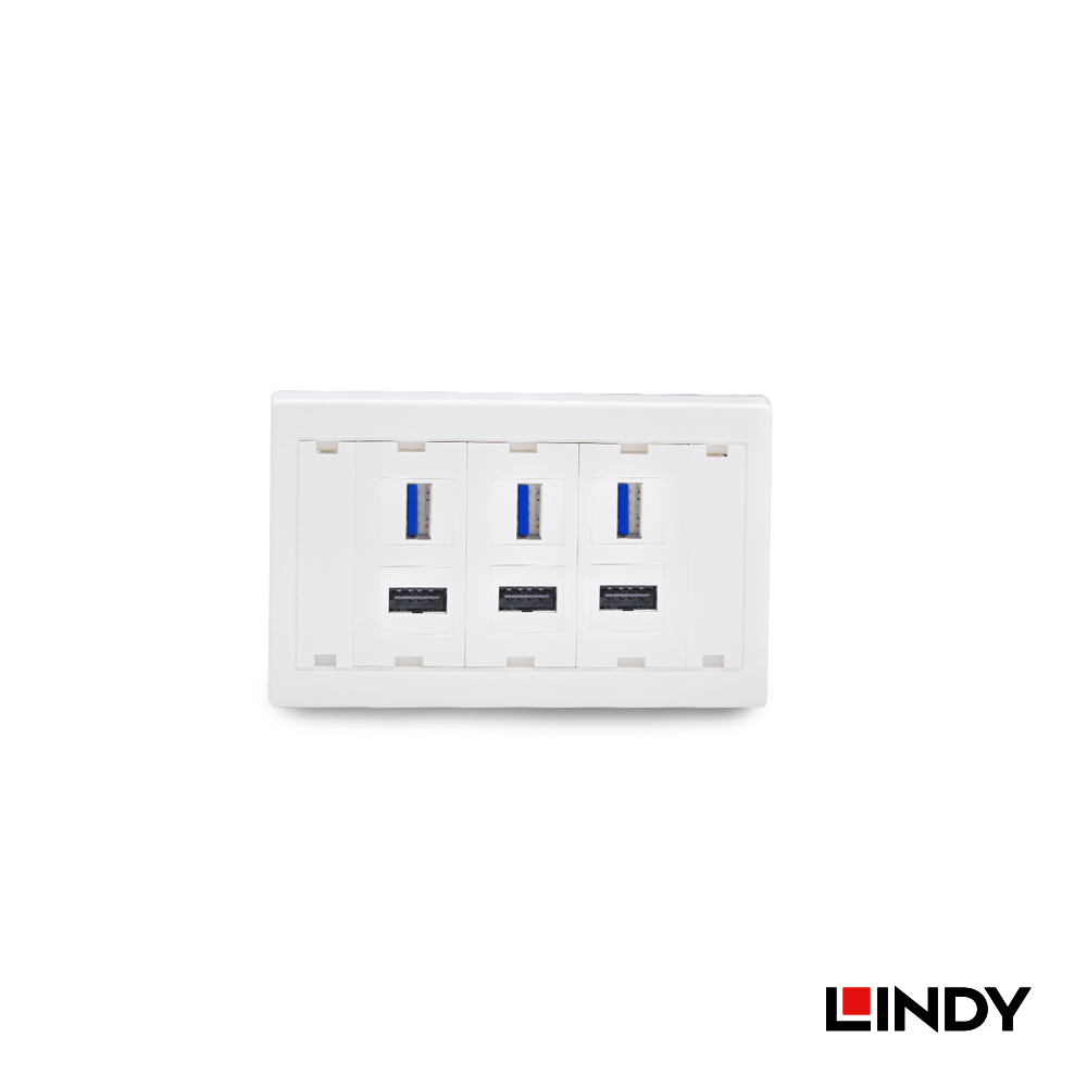 LINDY林帝 USB3.2 Gen1 Type-A 母 to 母 90度 模組/模塊Keyston