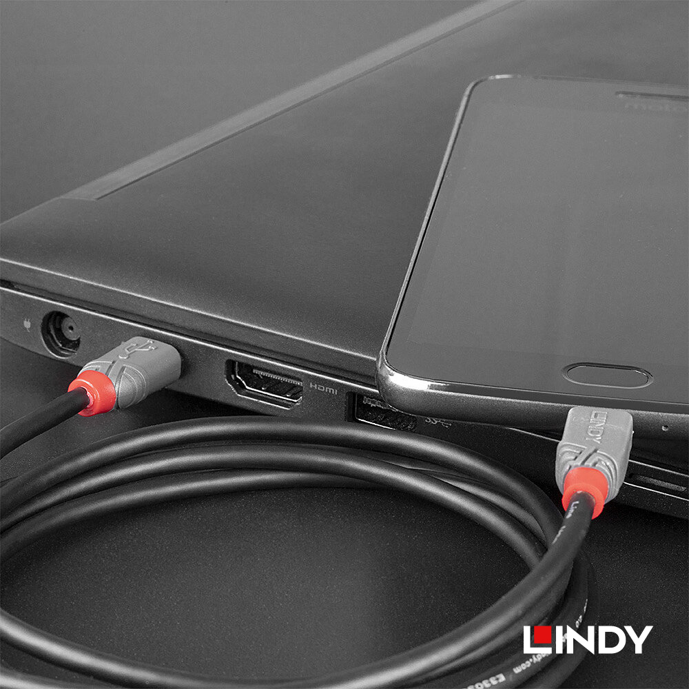 LINDY林帝 ANTHRA USB2.0 TYPE-C公 TO MICRO-B公 傳輸線 2M