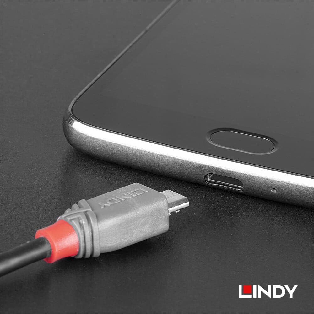 LINDY林帝 ANTHRA USB2.0 TYPE-C公 TO MICRO-B公 傳輸線 0.5M