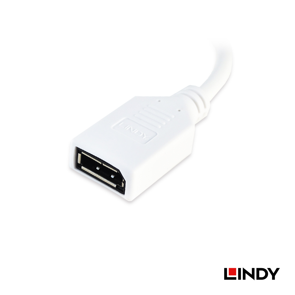 LINDY林帝 MINI DISPLAYPORT公 To DISPLAYPOR母 轉接器 20CM