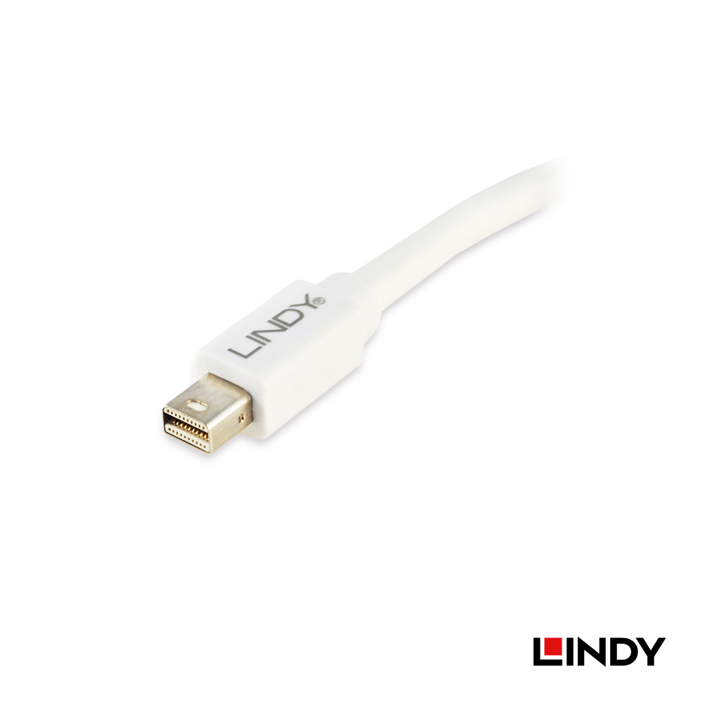 LINDY林帝 MINI DISPLAYPORT公 To DISPLAYPOR母 轉接器 20CM