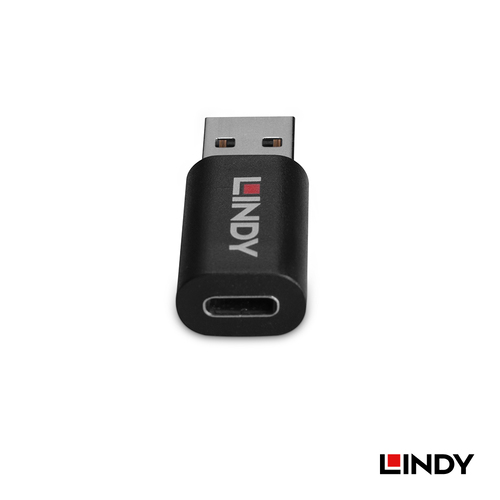 LINDY林帝 USB TYPE-A 公 TO C 母 資訊阻斷器							