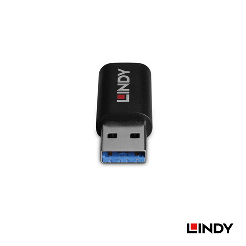LINDY林帝 USB TYPE-A 公 TO C 母 資訊阻斷器							