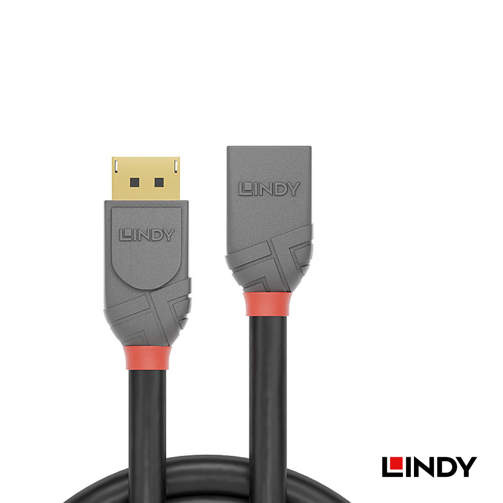 LINDY林帝 ANTHRA系列 DISPLAYPORT 1.4版 公 TO 母 延長線, 0.5M