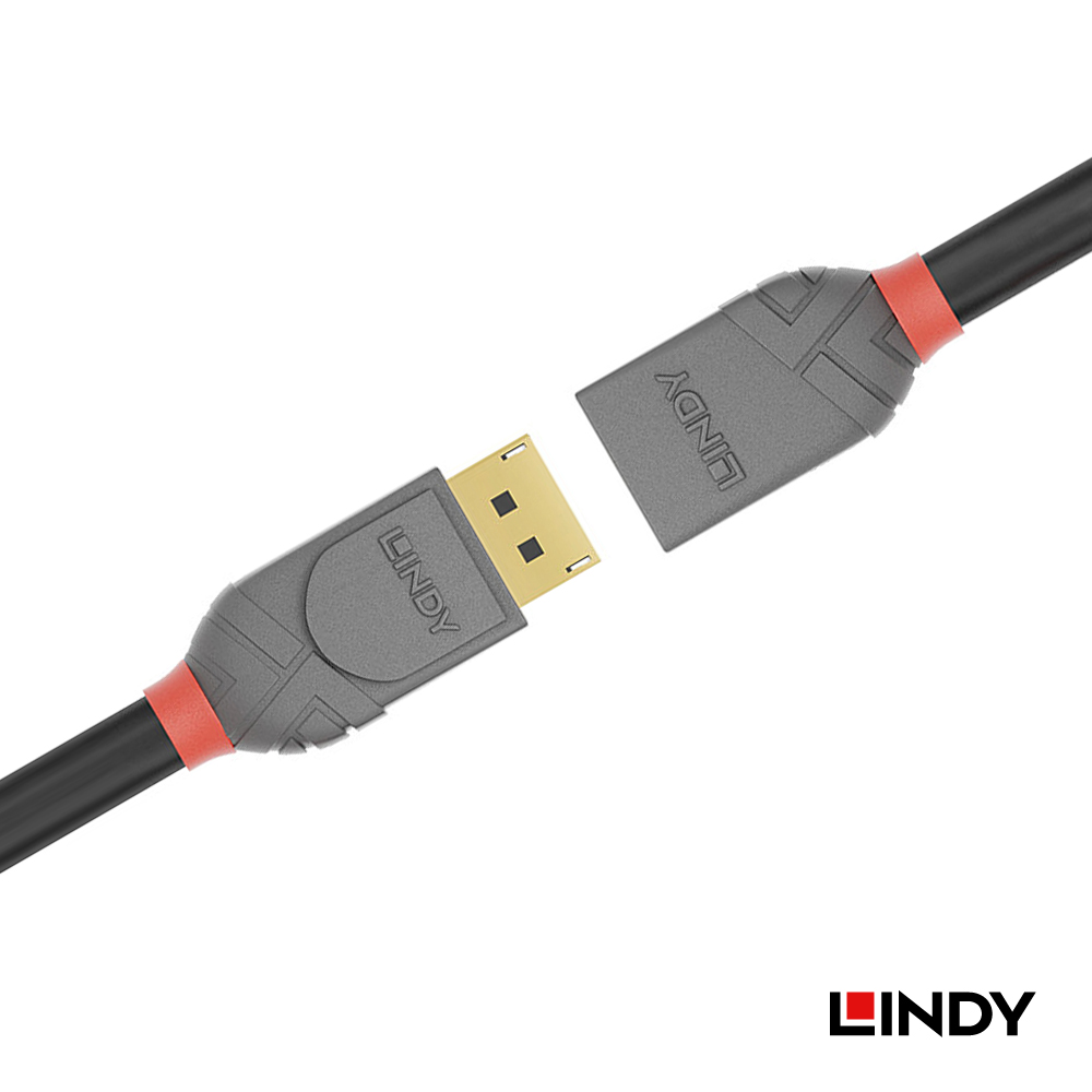 LINDY林帝 ANTHRA系列 DISPLAYPORT 1.4版 公 TO 母 延長線, 0.5M