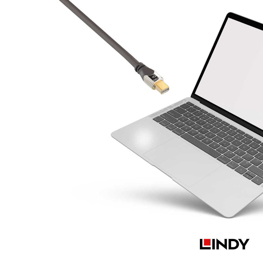 LINDY林帝 MINI DISPLAYPORT 1.3版 公 TO 公 傳輸線 5M