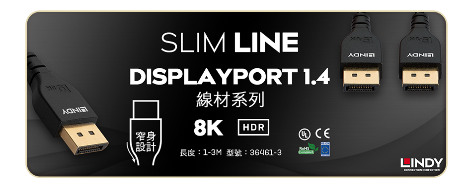 DisplayPort 傳輸線