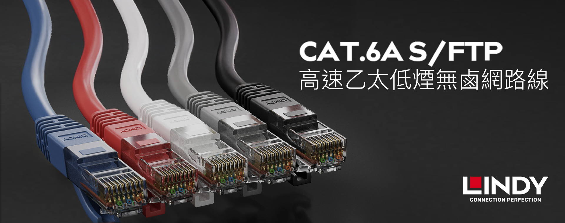 網路線-Cat.6a
